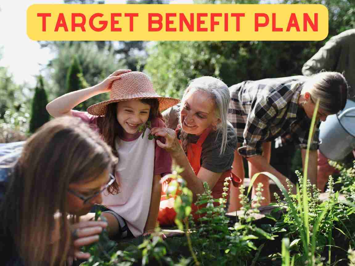 What is Target Benefit Plan - FlashFish.net