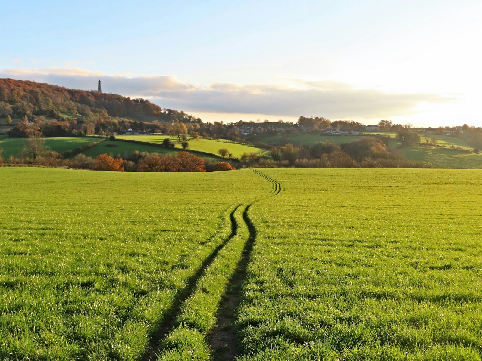 A narrow track running through a green field towards wooded hills